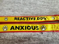 Anxious - Alert Short Extension Dog Lead | UK 4