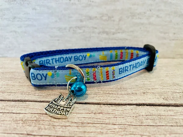 Birthday Cake Candles Puppy/Small Dog Collar