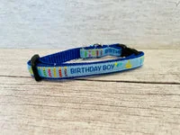 Birthday Cake Candles Puppy/Small Dog Collar 3