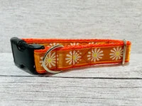 Orange Daisy Dog Collar 1