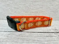 Orange Daisy Dog Collar 2