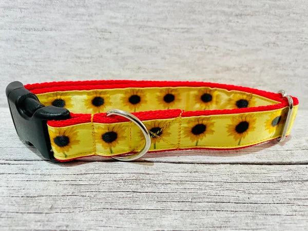 Sunflowers Dog Collar