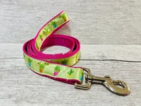 Cactus Ribbon Dog Lead 1