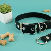 Black Biothane Waterproof Dog Collar 1