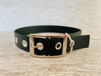 Black Biothane Waterproof Dog Collar 2