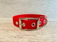 Red Biothane Waterproof Dog Collar 2