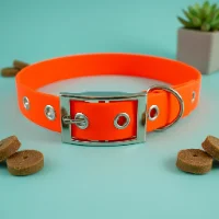 Orange Biothane Waterproof Dog Collar 1