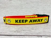 Keep Away Alert Dog Collar 3