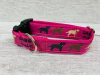 Labs Rules Dog Collar Labrador Rules 5