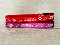 Deaf and Blind Alert Dog Collar 5