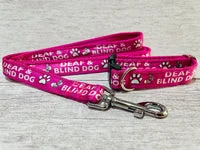 Deaf and Blind Alert Dog Collar 7