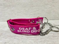 Deaf and Blind Alert Dog Collar 9
