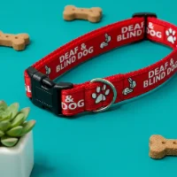Deaf and Blind Alert Dog Collar 1