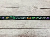 Personalised Dinosaur Dog Collar - Custom Print, Handmade in the UK 2