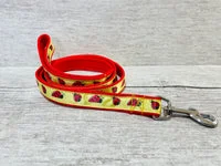 Personalised Ladybird Ladybug Ribbon Lead 2