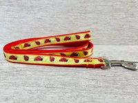 Personalised Ladybird Ladybug Ribbon Lead 1