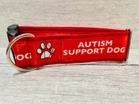 Autism Support Dog Collar 1
