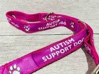 Autism Support Dog Collar 15