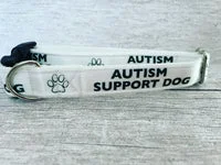 Autism Support Dog Collar 9