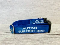 Autism Support Dog Collar 6