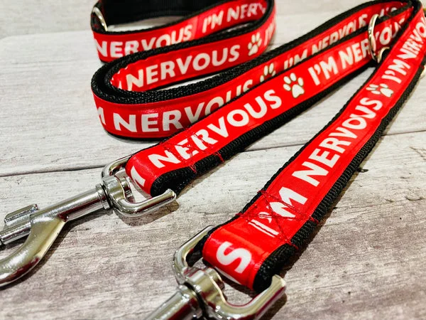 Red Ribbon Nervous Alert Dog Lead