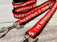 Red Ribbon Nervous Alert Dog Lead 1