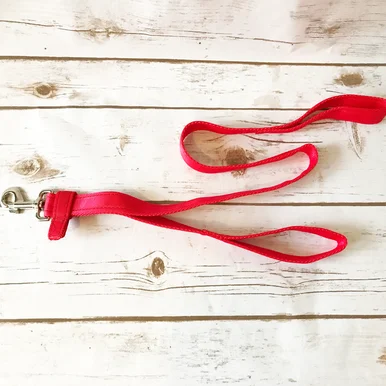 Personalised Parent & Child Dog Walking Lead