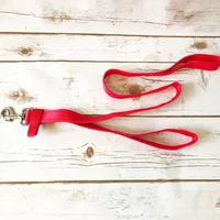 Personalised Parent & Child Dog Walking Lead 1