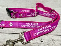 Autism Support Dog Lead 6