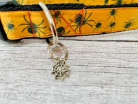 Autumn Pumpkin Acorn Leaf Dog Collar 2