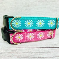 Single Daisy Print Dog Collar 1