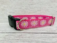 Single Daisy Print Dog Collar 3