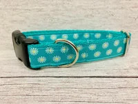 Multi Daisy Print Dog Collar 3