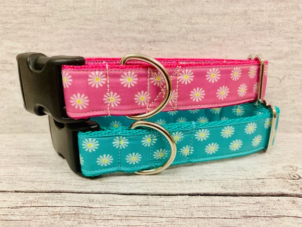 Multi Daisy Print Dog Collar