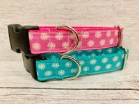 Multi Daisy Print Dog Collar 1