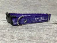 Spayed and Chipped Alert Dog Collar 13