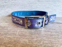 Spayed and Chipped Alert Dog Collar 4