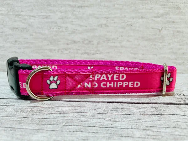 Spayed and Chipped Alert Dog Collar